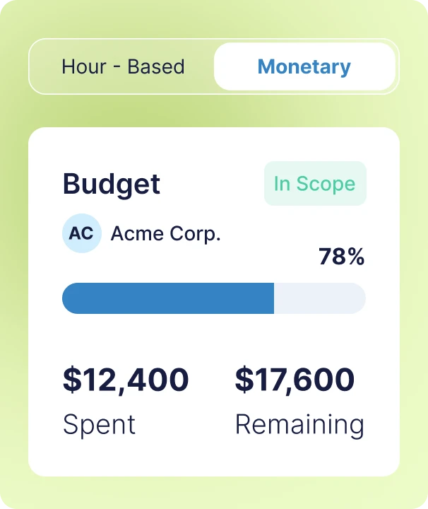 Project budget tracking with monetary spend and remaining